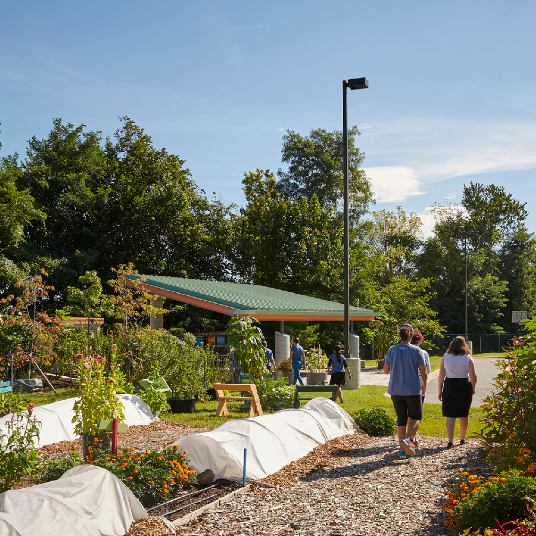 D.C. Urban Food Studio: Nourishing Bodies, Minds & Souls